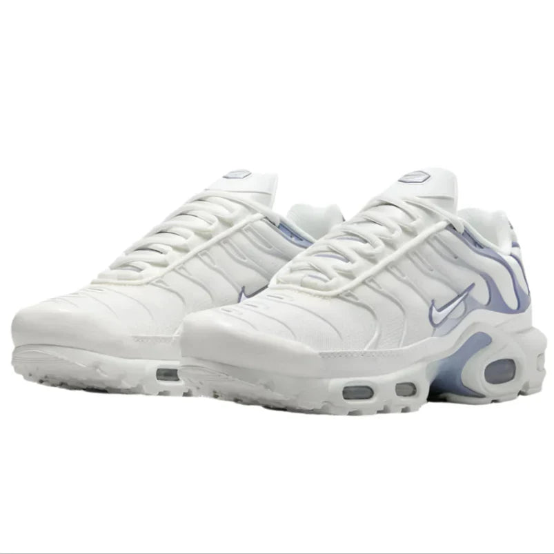 Air Max Tn Plus- Ashen Slate